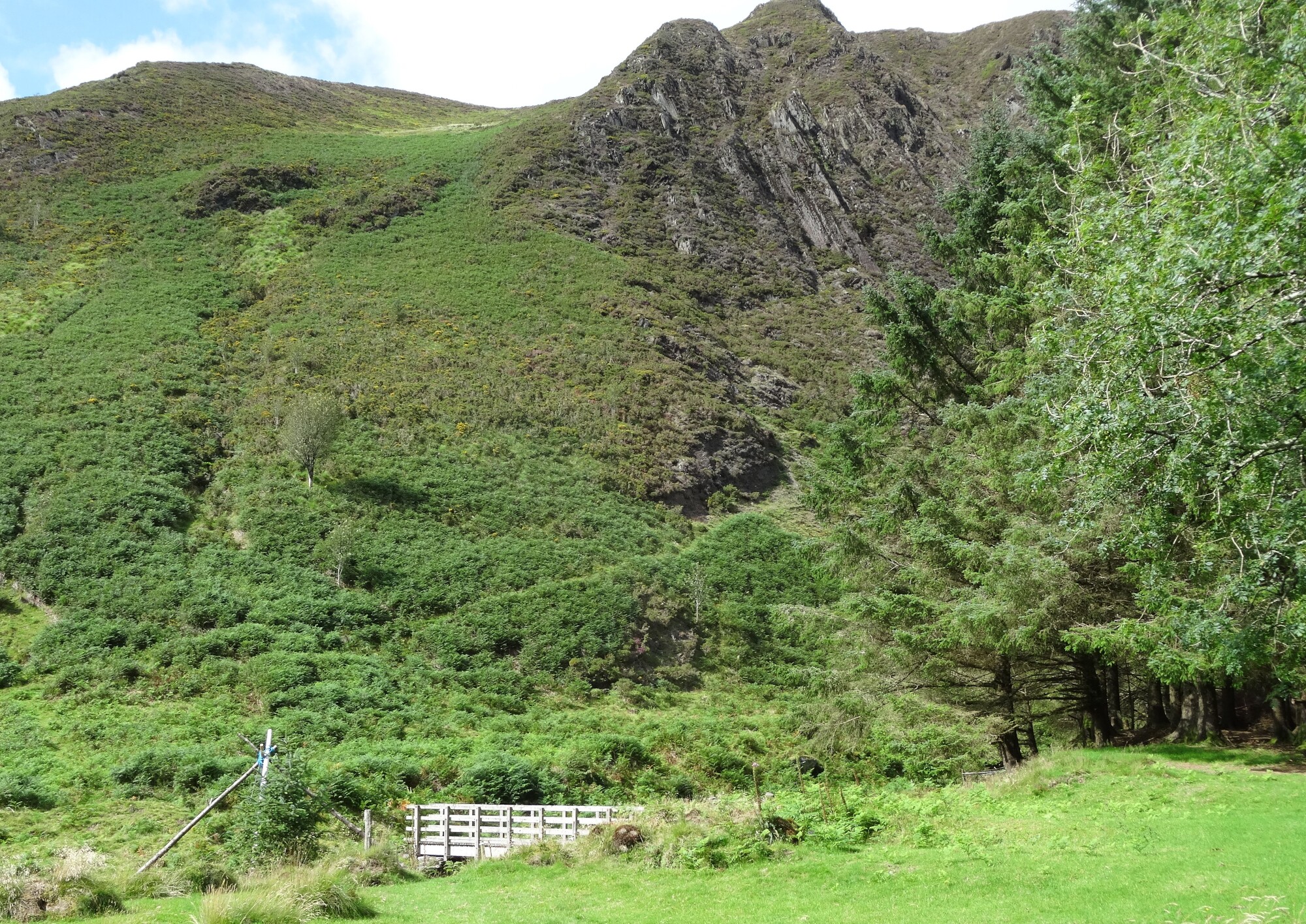 RachelSeabrook.net | Wild Walking | Craig y Pistyll | pic15